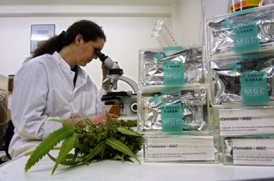Cannabis laboratorio
