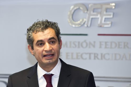 Enrique Ochoa Reza  director CFE