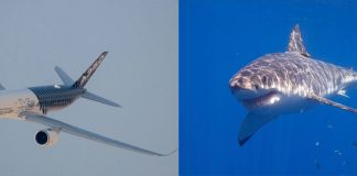Airbus piel de tiburón. Revista Fortuna
