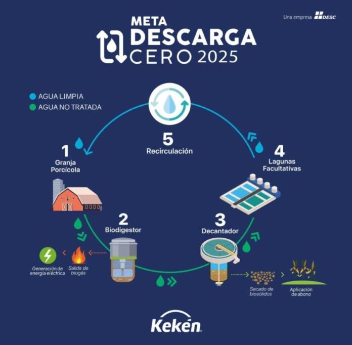 descarga