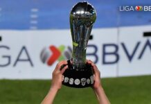 Semifinales Liga MX: definidas fechas y horarios. / Foto: Liga MX