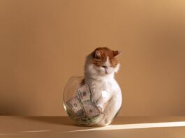 Mascotas y finanzas