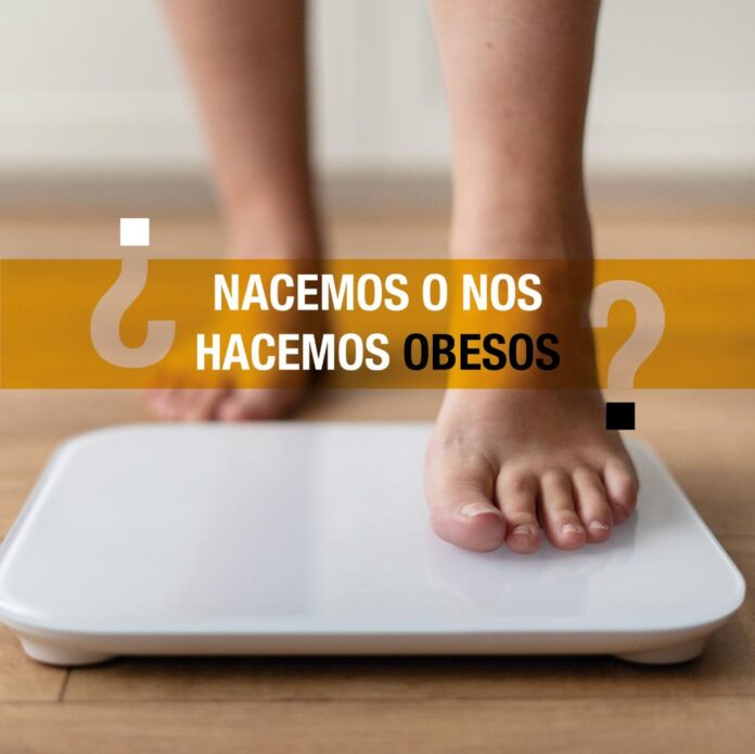 La genética juega un papel relevante entre quienes padecen obesidad crónica: LabDO
