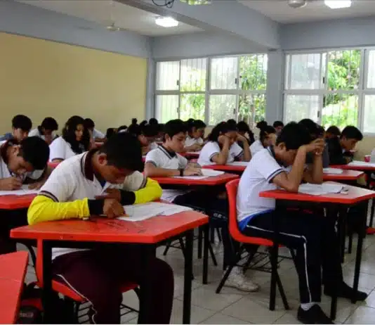 Bullying afecta a 18 millones de alumnos de primaria y secundaria en México: OCDE