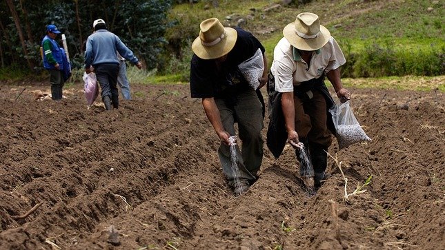 Fertilizantes para el Bienestar pretende distribuir 42 mil 505 toneladas del insumo para Veracruz