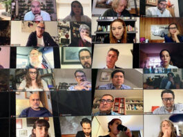 Reunión virtual de la Comisión de Cultura y Cinematografía de la Cámara de Diputados en 2020