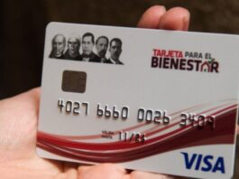 Hasta el domicilio de los beneficiarios, que no puedan acudir a los módulos personalmente, se llevaría las tarjetas Bienestar