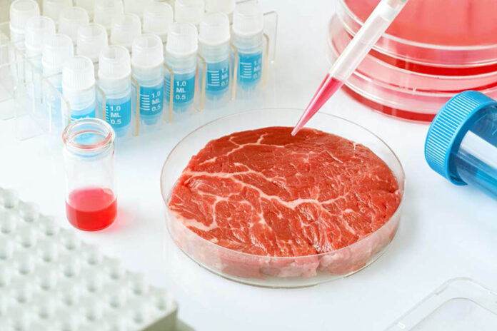 Carne in vitro: opción para reducir la contaminación ocasionada por la crianza animal