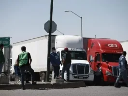 Secretaría de Econmía informa perdidas económicas por inspecciones a transportes de carga en Texas