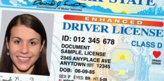 licencia