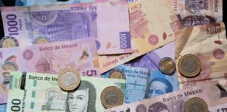 IQ Financiero | La guía prospectiva del Banco de México