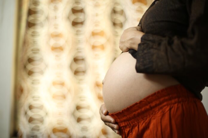 Maternidad subrogada generaría 27 mil 500 mdd en 2025. El papa Francisco pide “prohibición universal”