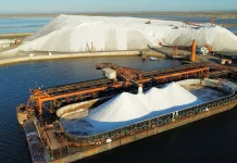 Gobierno adquiere participación de 49% en Exportadora de Sal