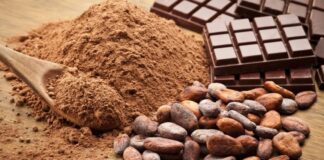 Producción de cacao sufre a causa de cambio climático