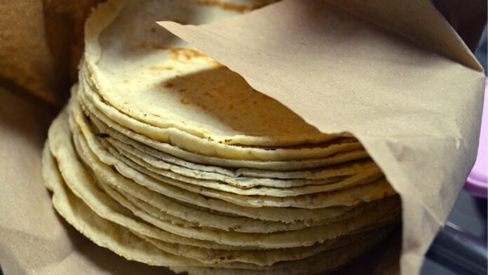 Kilo de tortilla ha aumentado de precio casi 62% en cinco años; cada mexicano consume 75 kg al año