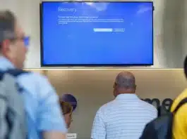 Si bien la Secretaría de Comunicaciones y Transportes ha informado que la caída en los servicios de Microsoft no ha representado afectaciones