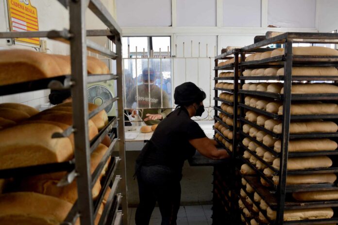 Disminuye gobierno de Cuba ración subsidiada de pan por escasez de harina Disminuye gobierno de Cuba ración subsidiada de pan por escasez de harina