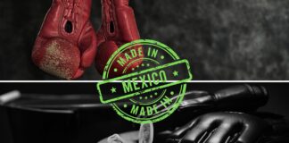¿Por qué México es una potencia mundial en boxeo y una creciente fuerza en Artes Marciales Mixtas?