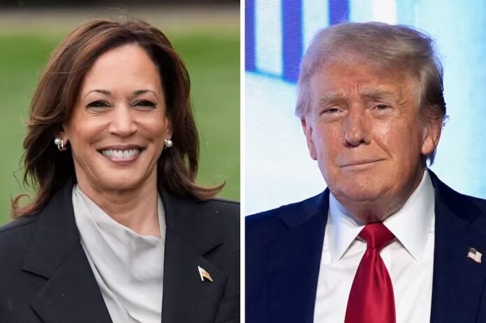 TRUMP KAMALA Y ME?XICO