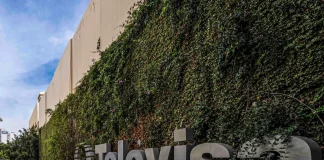 Televisa incrementa flujo de efectivo gracias a reestructura operativa