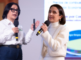 El gobierno mexicano presentó oficialmente la “Estrategia Nacional del Sector Eléctrico”, pieza esencial del Plan Nacional de Energía,