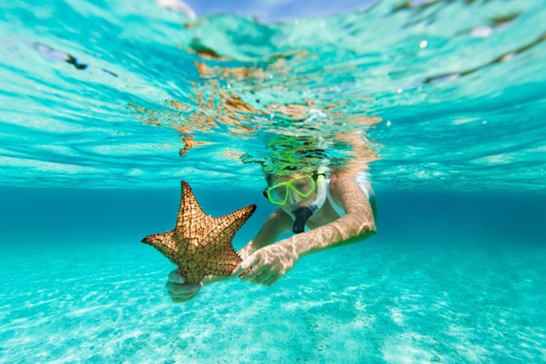 Fuente: IStock