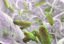 Brote de Klebsiella en el Edomex: Sheinbaum anuncia posibles detenciones y medidas urgentes