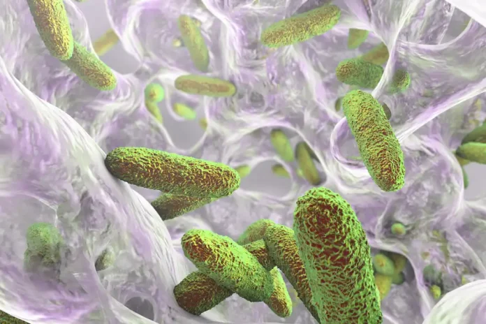Brote de Klebsiella en el Edomex: Sheinbaum anuncia posibles detenciones y medidas urgentes Brote de Klebsiella en el Edomex: Sheinbaum anuncia posibles detenciones y medidas urgentes