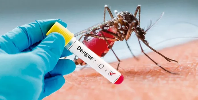 El subsecretario de Promoción y Fomento a la Salud presentó esta mañana el Plan Nacional para el Control del Dengue, El subsecretario de Promoción y Fomento a la Salud presentó esta mañana el Plan Nacional para el Control del Dengue,