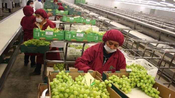 “A inicios del 2025, las cifras del IGAE registran una notoria desaceleración en las actividades económicas, extendiendo la debilidad observada en los indicadores de manufacturas y de servicios al cierre del periodo anterior”, señaló a su vez en una nota el Grupo Financiero Monex. “A inicios del 2025, las cifras del IGAE registran una notoria desaceleración en las actividades económicas, extendiendo la debilidad observada en los indicadores de manufacturas y de servicios al cierre del periodo anterior”, señaló a su vez en una nota el Grupo Financiero Monex.