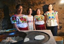 Inicia Sheinbaum programa de estufas ecológicas en Michoacán con inversión de 500 millones de pesos