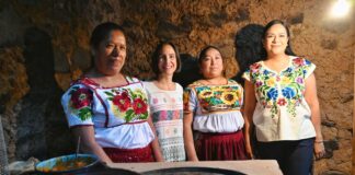 Inicia Sheinbaum programa de estufas ecológicas en Michoacán con inversión de 500 millones de pesos