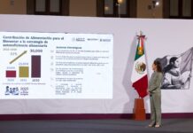 Invertirá gobierno mexicano 53,971 mdp para impulsar soberanía alimentaria; anuncian nuevo programa: Cosechando Soberanía