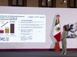 Invertirá gobierno mexicano 53,971 mdp para impulsar soberanía alimentaria; anuncian nuevo programa: Cosechando Soberanía