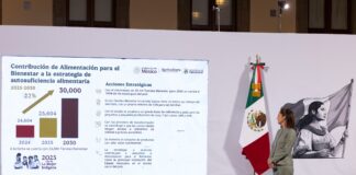 Invertirá gobierno mexicano 53,971 mdp para impulsar soberanía alimentaria; anuncian nuevo programa: Cosechando Soberanía