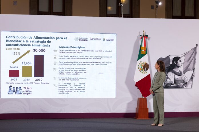Invertirá gobierno mexicano 53,971 mdp para impulsar soberanía alimentaria; anuncian nuevo programa: Cosechando Soberanía