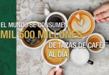 Entre los estudiantes universitarios, el consumo diario de cafeína puede oscilar entre 139.7 y 417.3 miligramos, lo que equivale a más de dos tazas