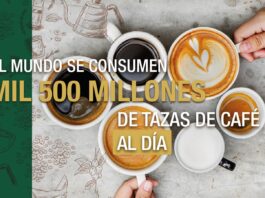 Entre los estudiantes universitarios, el consumo diario de cafeína puede oscilar entre 139.7 y 417.3 miligramos, lo que equivale a más de dos tazas