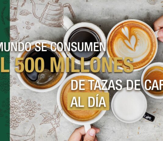 Entre los estudiantes universitarios, el consumo diario de cafeína puede oscilar entre 139.7 y 417.3 miligramos, lo que equivale a más de dos tazas