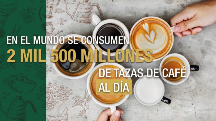 Entre los estudiantes universitarios, el consumo diario de cafeína puede oscilar entre 139.7 y 417.3 miligramos, lo que equivale a más de dos tazas Entre los estudiantes universitarios, el consumo diario de cafeína puede oscilar entre 139.7 y 417.3 miligramos, lo que equivale a más de dos tazas