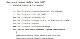 A través de un decreto por el que se reforman y adicionan diversas disposiciones del Reglamento Interior de la Secretaría de Hacienda y Crédito Público, el gobierno de la presidenta Claudia Sheinbaum estableció los términos y alcances de la nueva Dirección Contra Organizaciones Delictivas adscrita a la dependencia hacendaria.