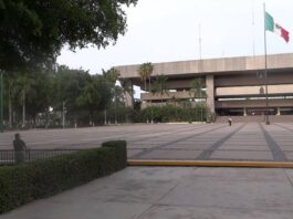 perspectiva de Sinaloa