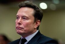 Elon Musk sale al ataque