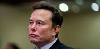 Elon Musk sale al ataque