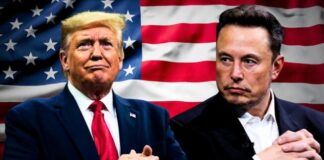 Trump y Elon Musk se destrozan ante todos: relación totalmente rota...