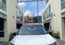 Geely Starray