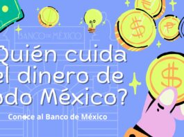 Conoce al Banco de México
