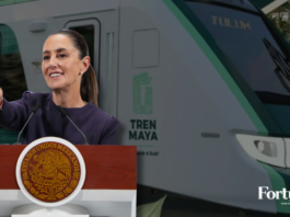 La presidenta Claudia Sheinbaum aseguró este miércoles que el Tren Maya es un proyecto rentable, diseñado desde su origen para generar beneficios a largo plazo,