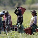 capacitación de indocumentados