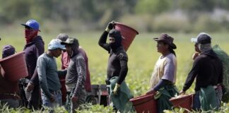capacitación de indocumentados